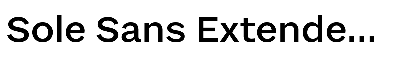 Sole Sans Extended Medium